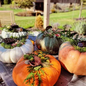 Dried Florals Pumpkin Workshop<br>10/8/2026 10am