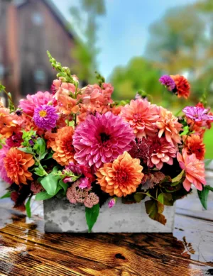Sow Local Flower Box (Biweekly)